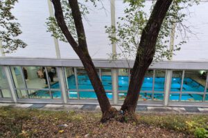 pool3